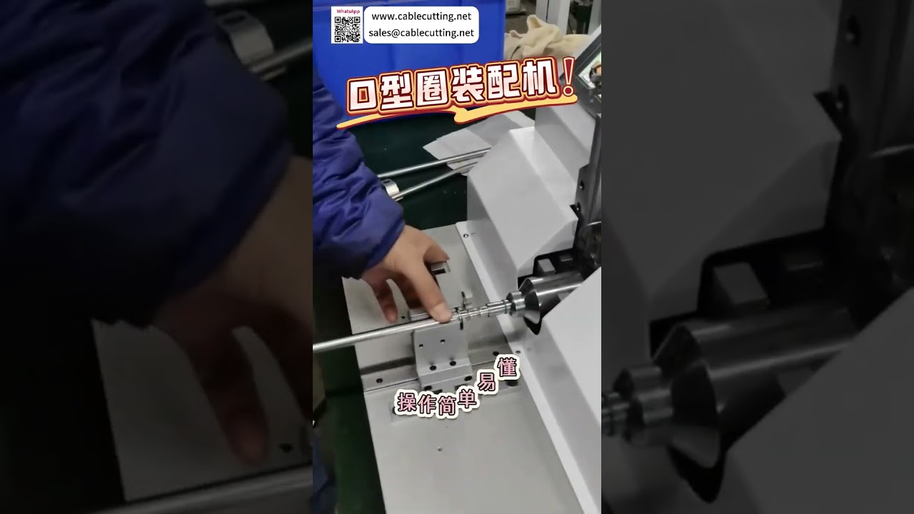 Automatische O-ring montagemachine | Precisie mechanisch ontwerp voor afdichtingsringen