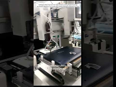 Intelligente multi-assige schroeflockeringsrobot – Automatische schroefbevestigingsmachine voor lampen en toetsenborden