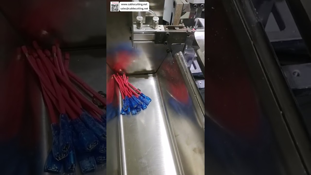 Automatische Terminalkrimpmachine & Behuizingsinsteekmachine voor Stroomkabels en Voertuigkabelbomen