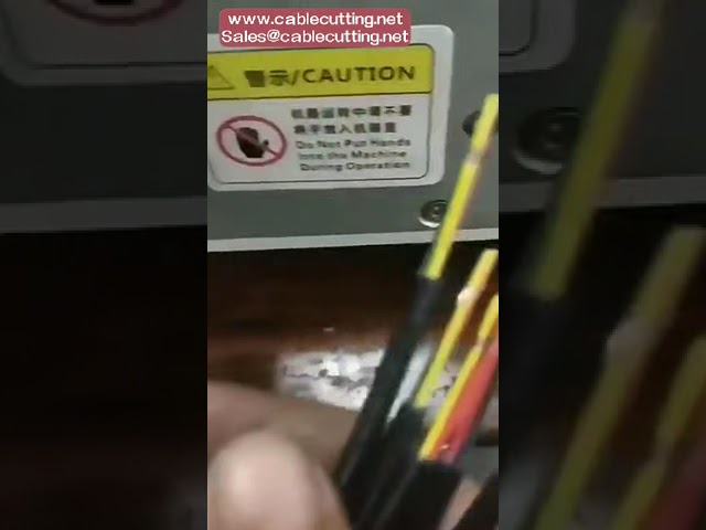Professionele manteldraad stripmachine voor meeraderige, platte en parallelle draden