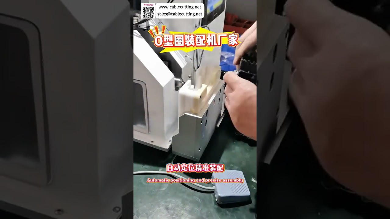 Op maat gemaakte O-ring assemblagemachine met hoge consistentie – Geautomatiseerde afdichtingsapparatuur van een vertrouwde fabrikant