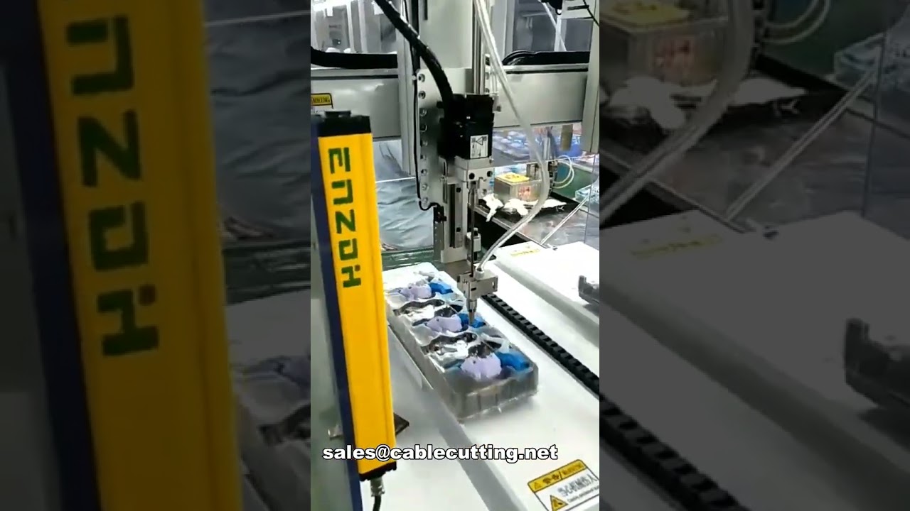Automatische desktop schroefmachine voor speelgoed & elektronica | WPM-4220-2Z