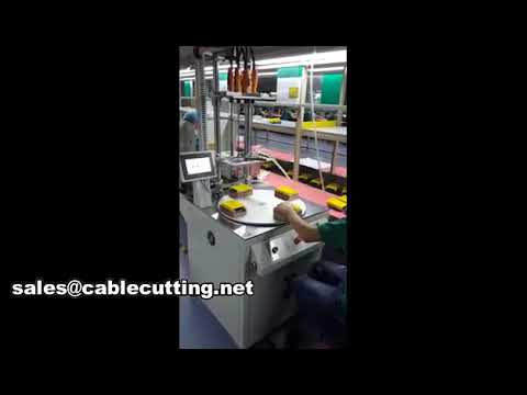 Automatische schroefborgmachine WPM-803 – Optimale productielijn efficiëntie