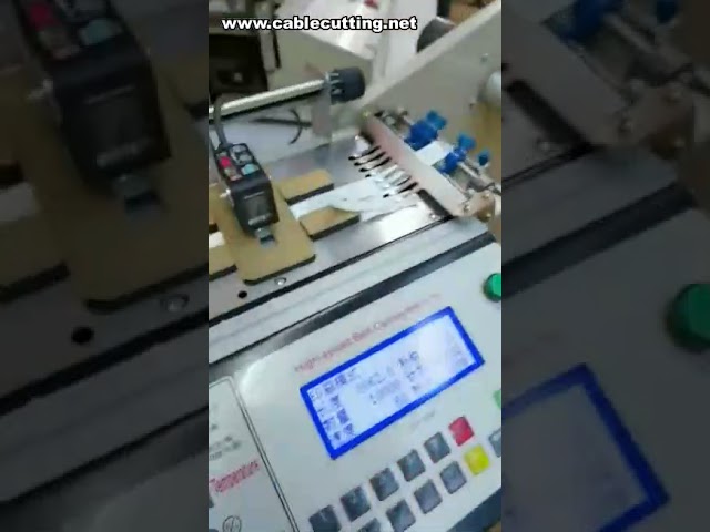 Automatische Label Snijmachine voor Warm en Koud – Hoge Snelheid & Precisie
